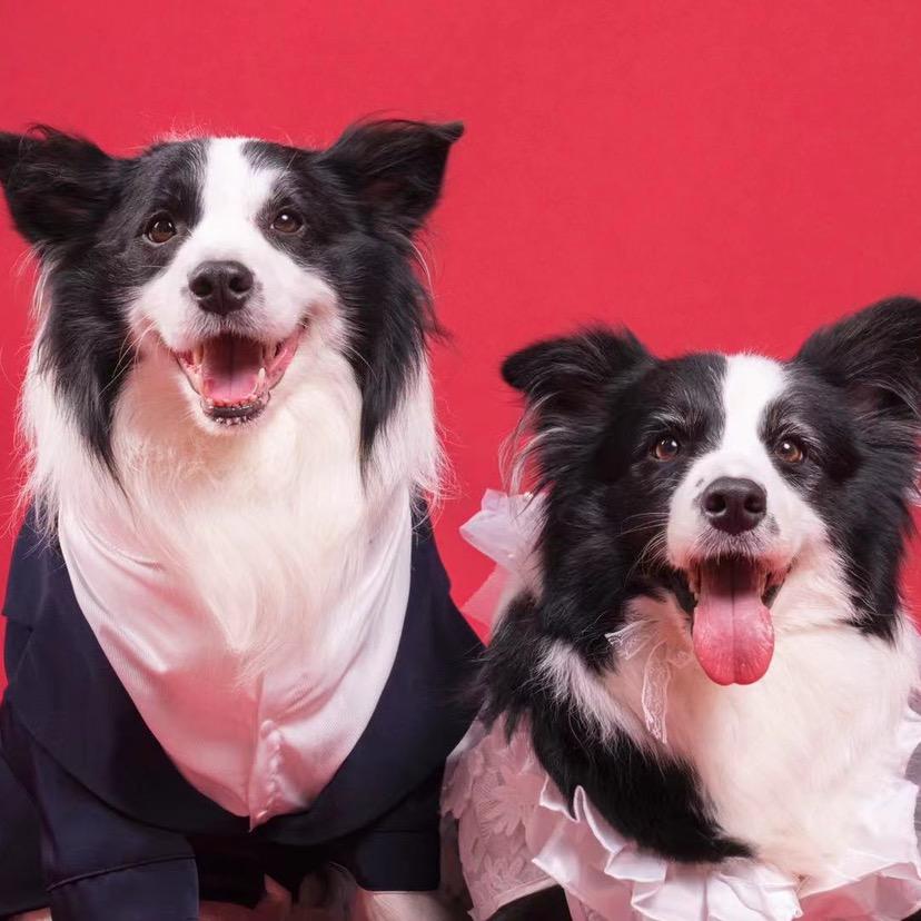 🥕布鲁斯和瑞秋是对小夫妻🥕