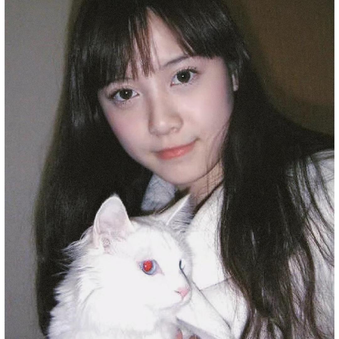 Yuki 好多猫