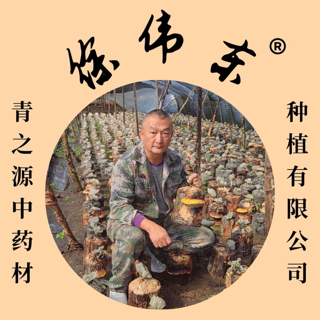 青之源中药材滋补养生专营店
