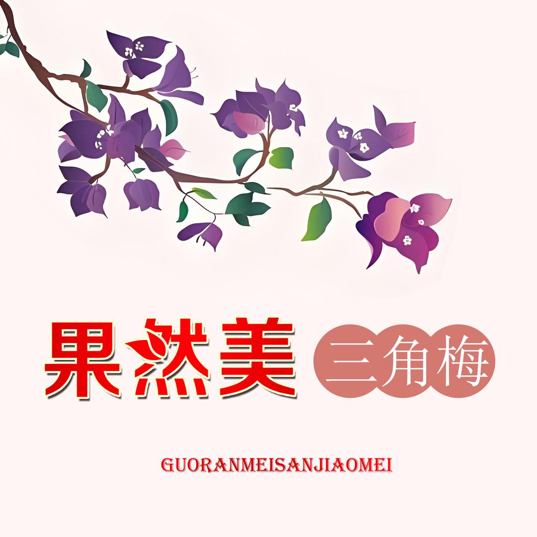 果然美三角梅