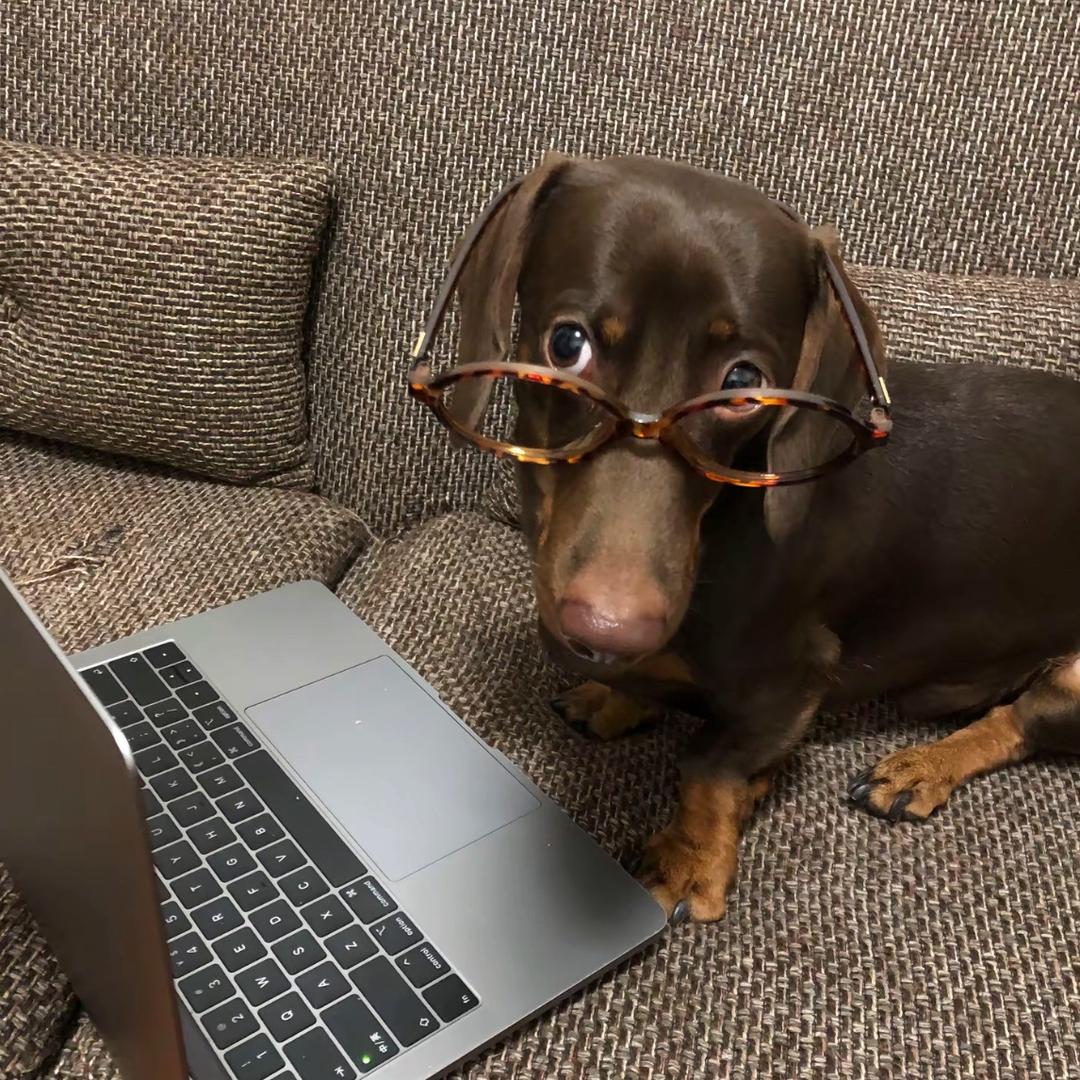 不发脾气只发财