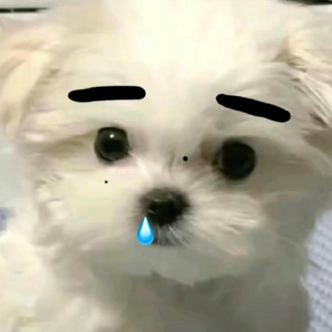 Xiu_28