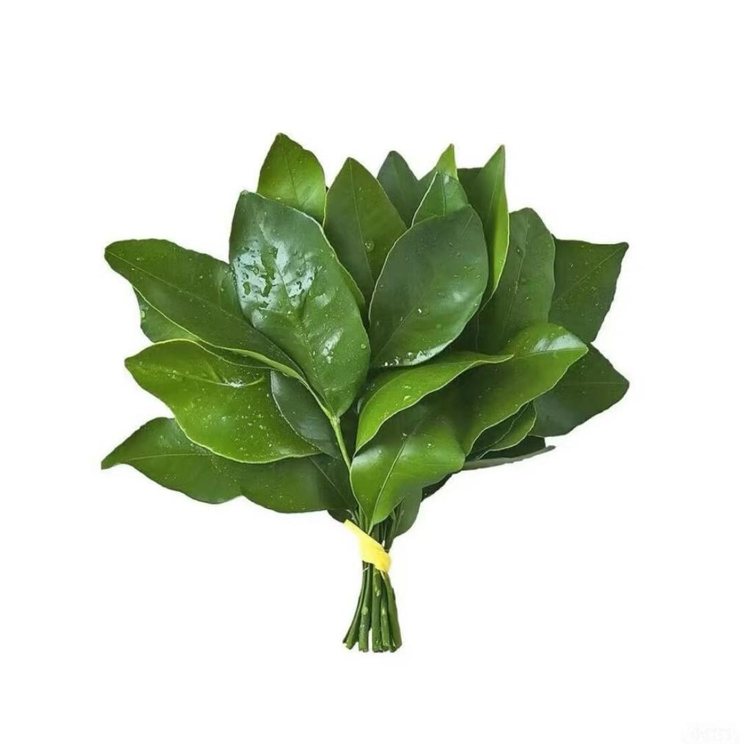 小梨涡