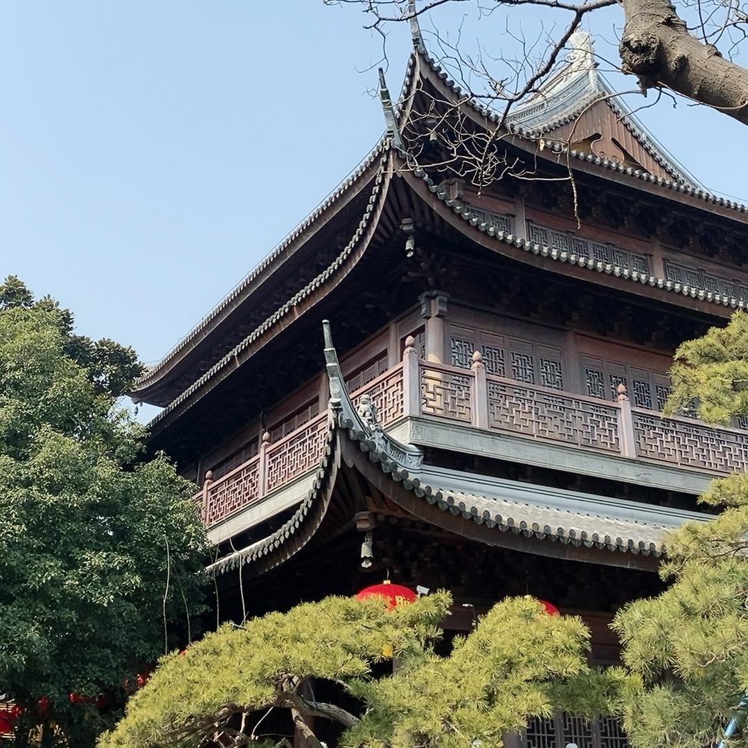 南瓜子122头像