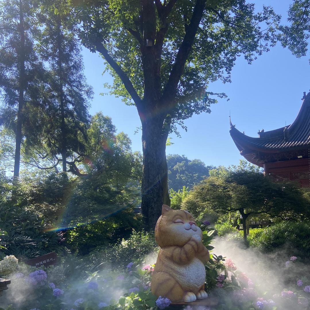垚霆服装商贸
