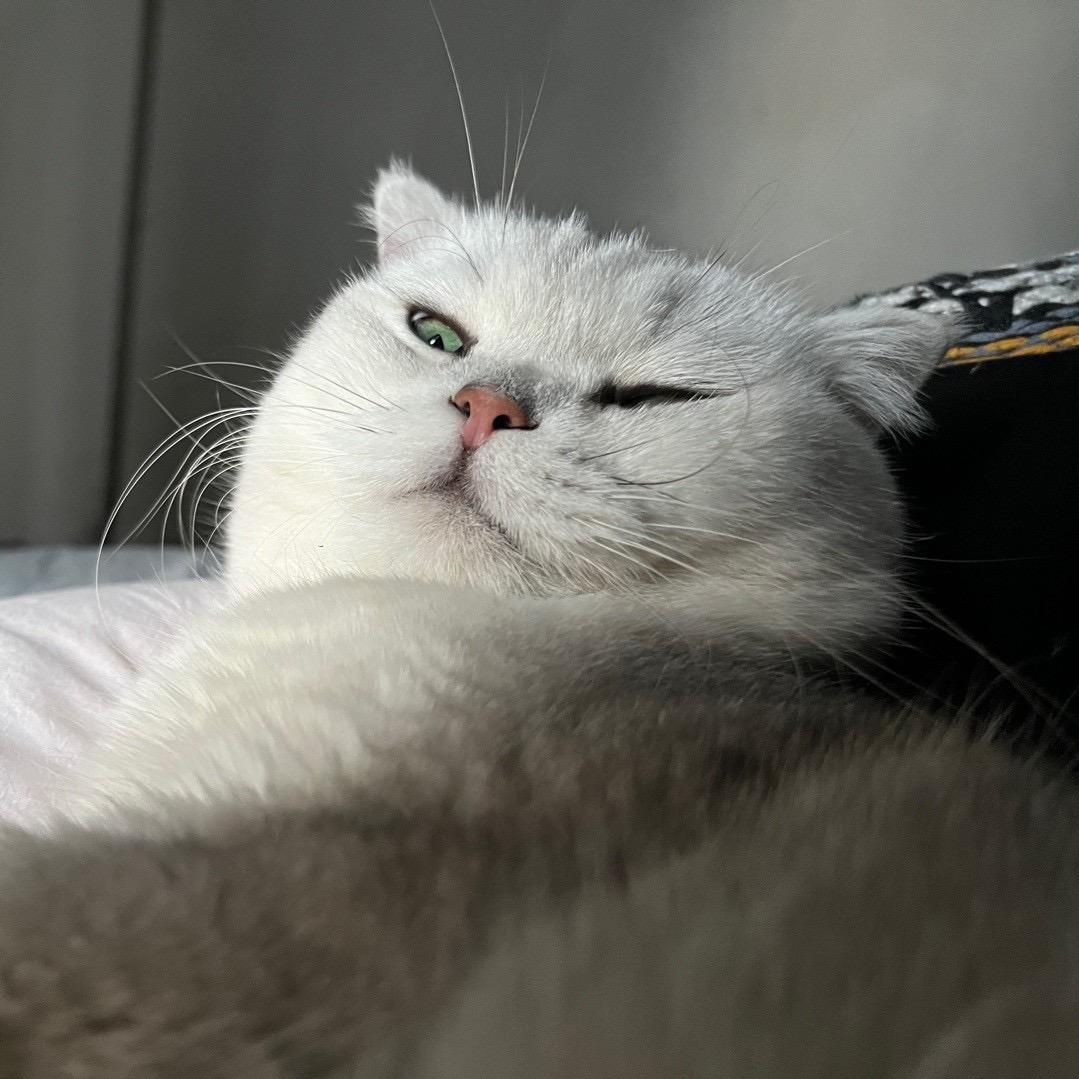 靠谱梁