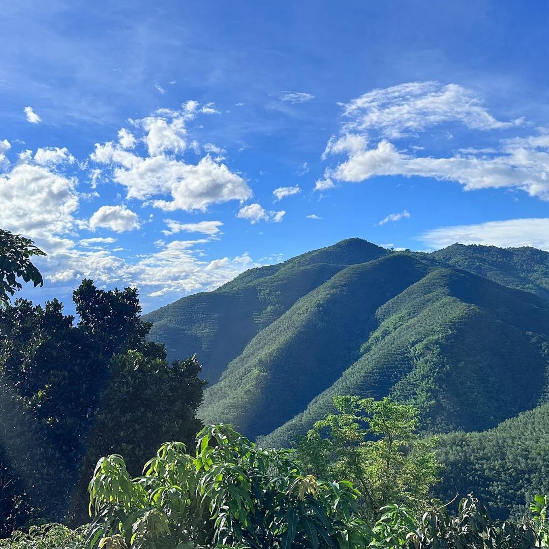 滇川小铺
