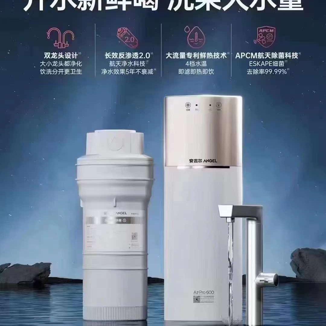 安吉尔净水丽姐