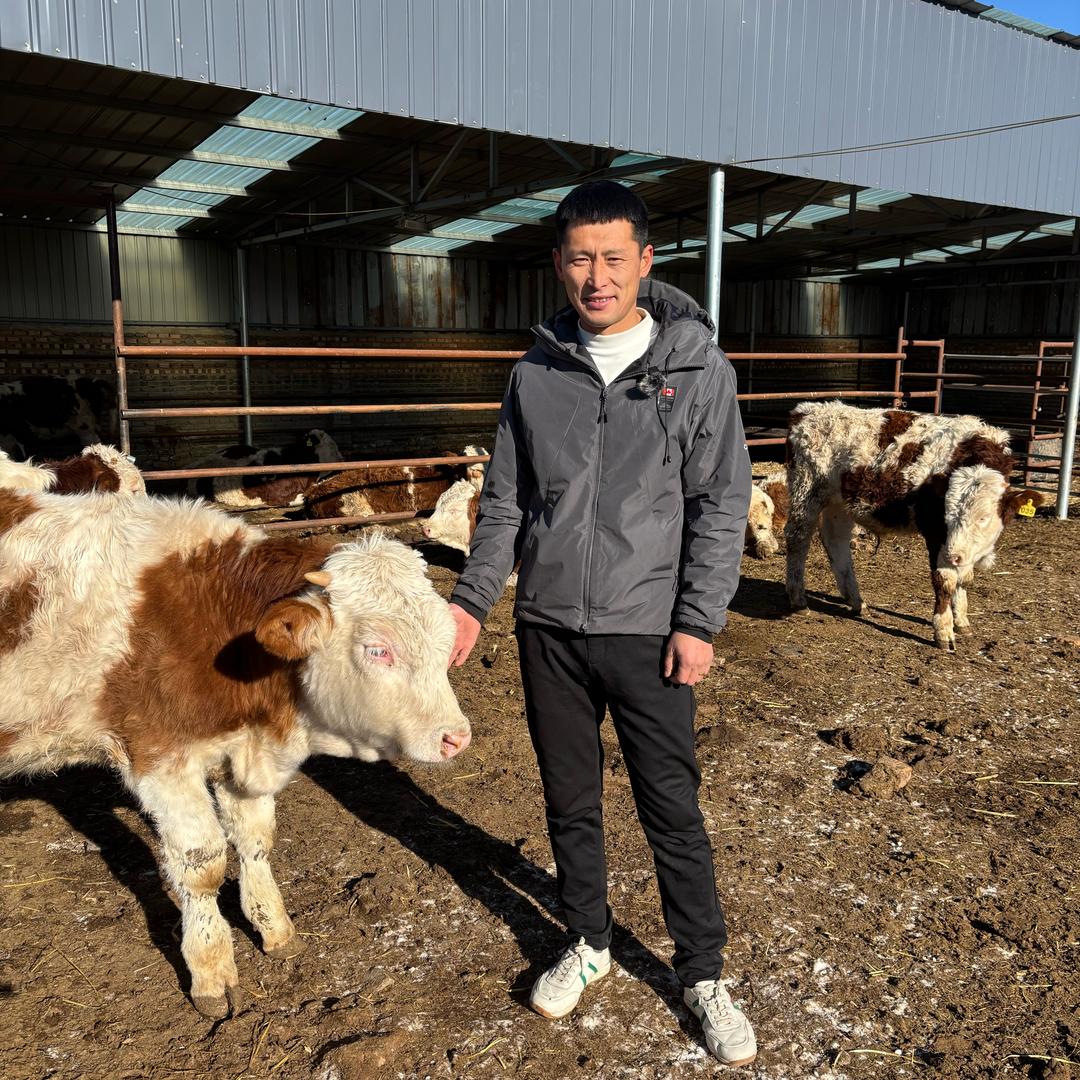 牛人强哥（强盛牧业）