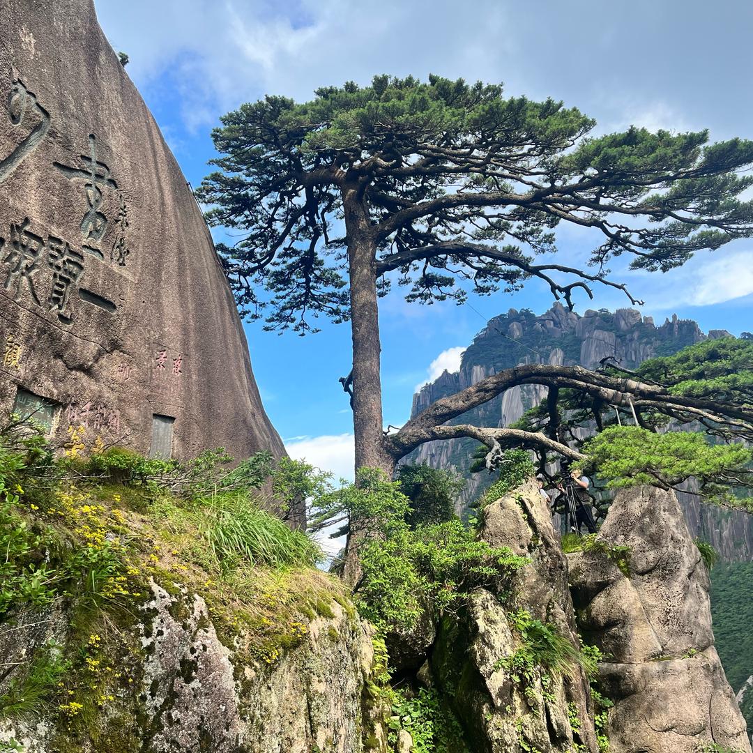 ღ᭄💞冰雪泡沫໑ຼ₀₂₄💕