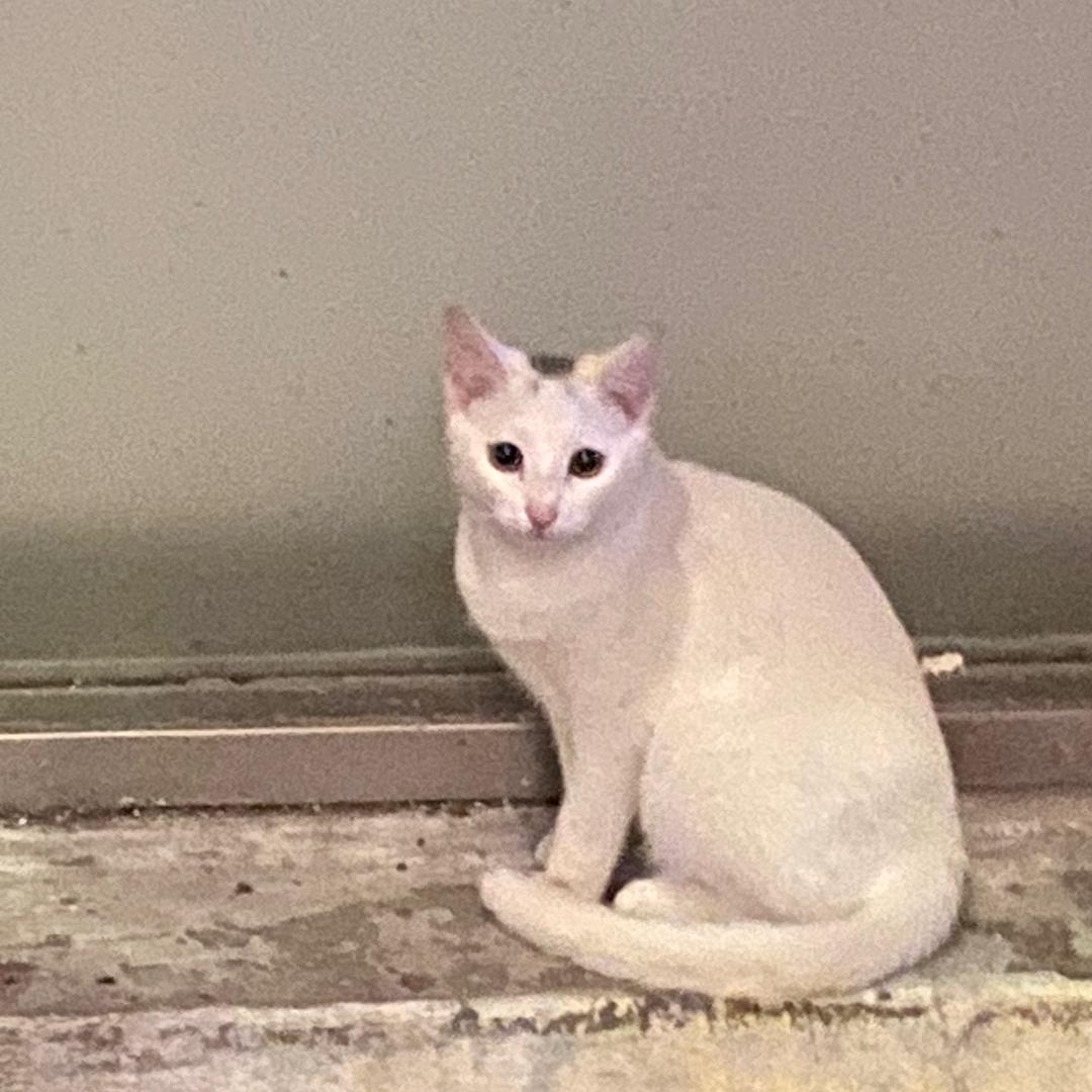 拾贰.
