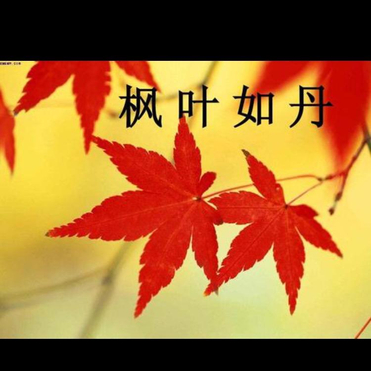 夕阳