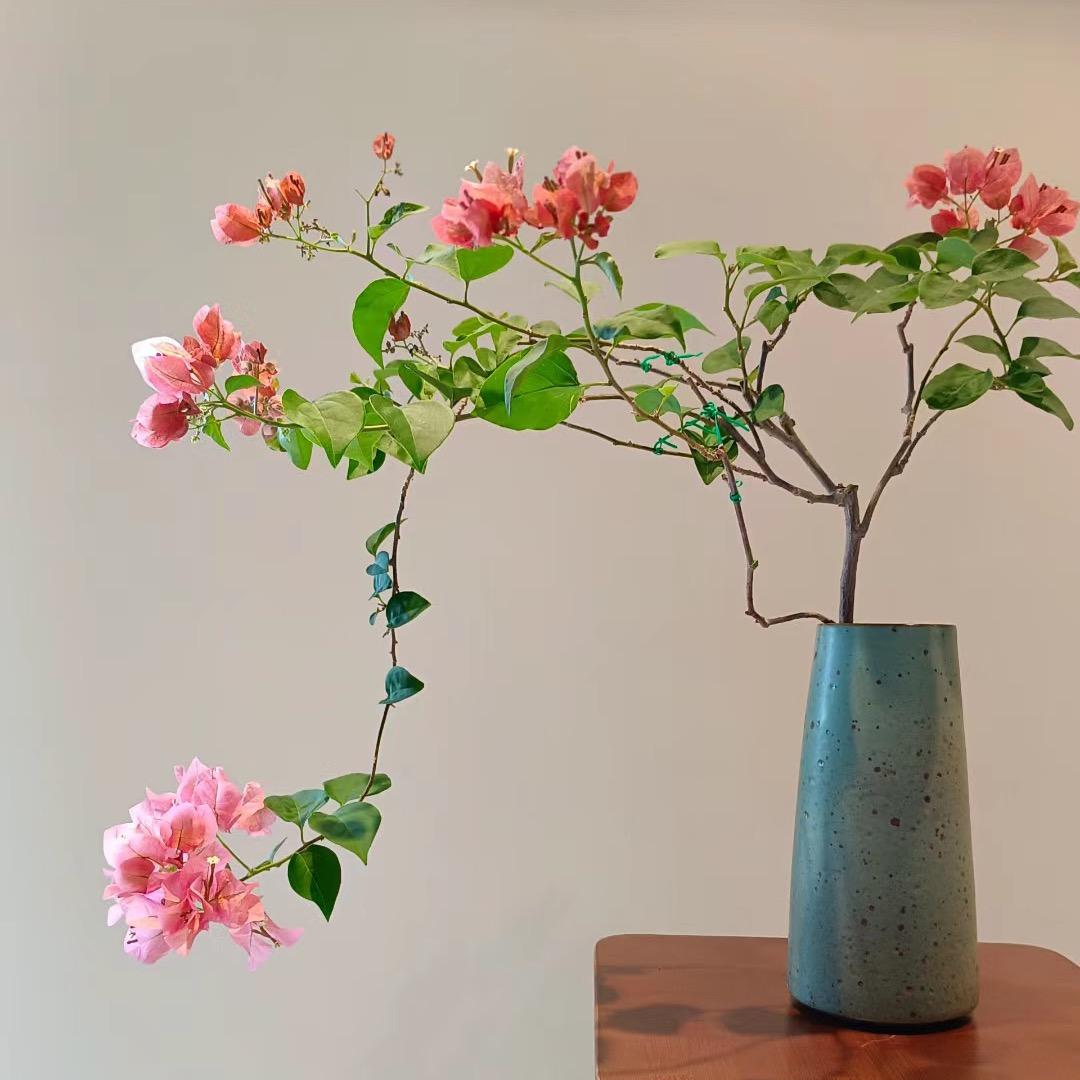 小诗绿植花卉