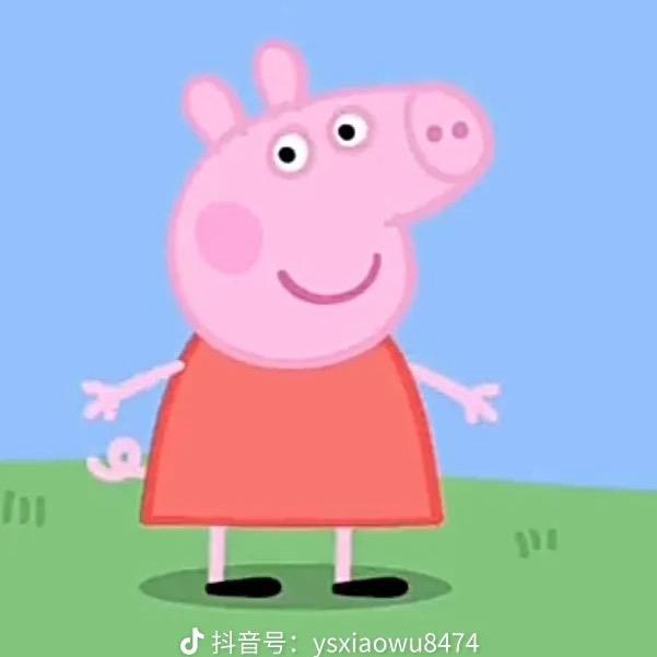 长沙小租佩奇🐷