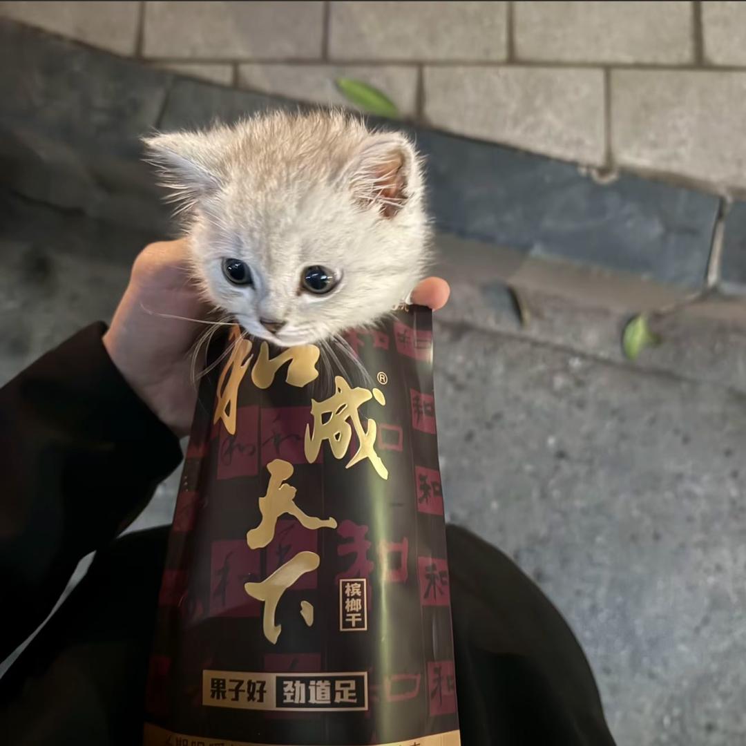 许个愿