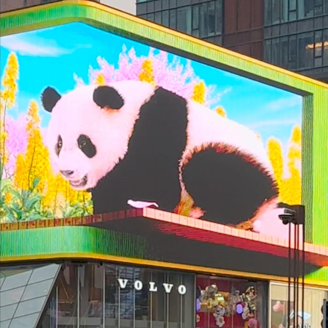 成都青旅4️⃣百/🈷️