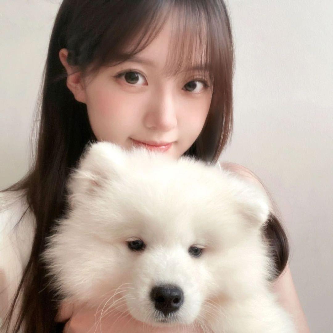 無人区玫瑰