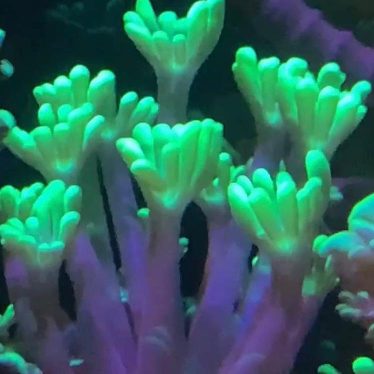 海底世界