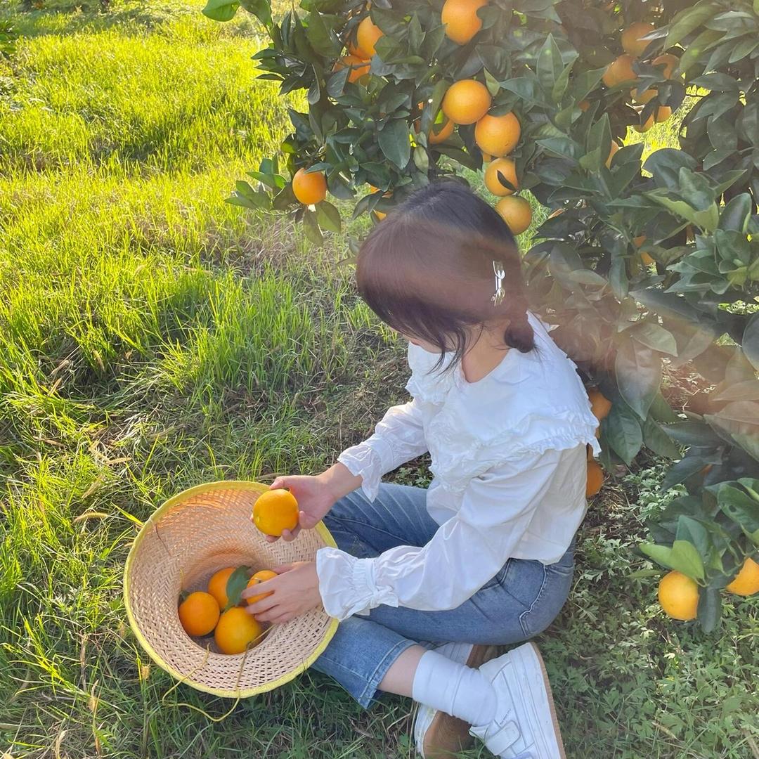 赣南橙香源生鲜