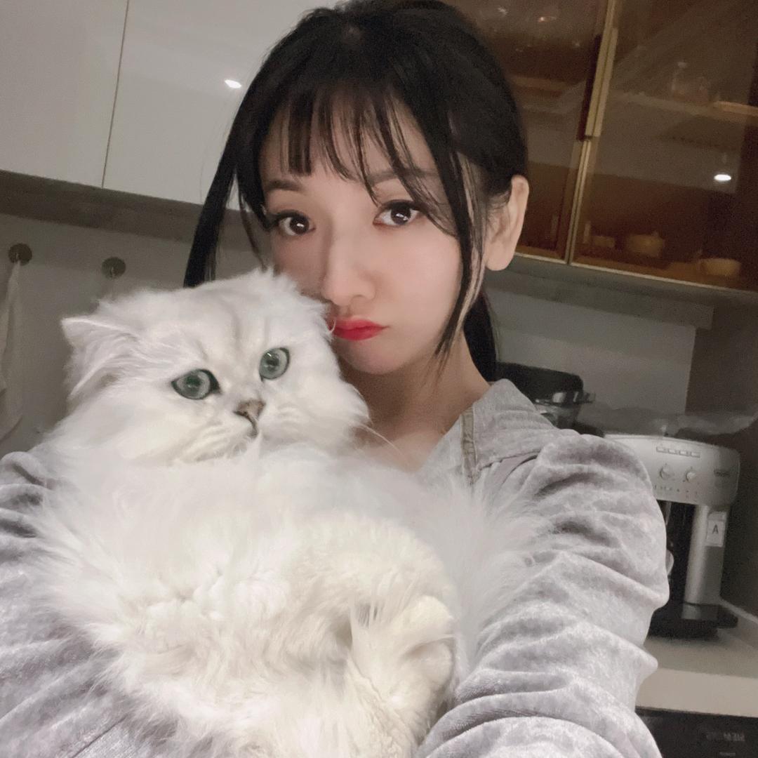 喜欢跳舞的cici
