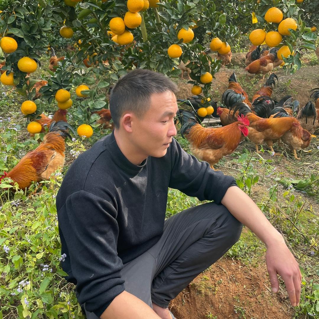 明华生态农场