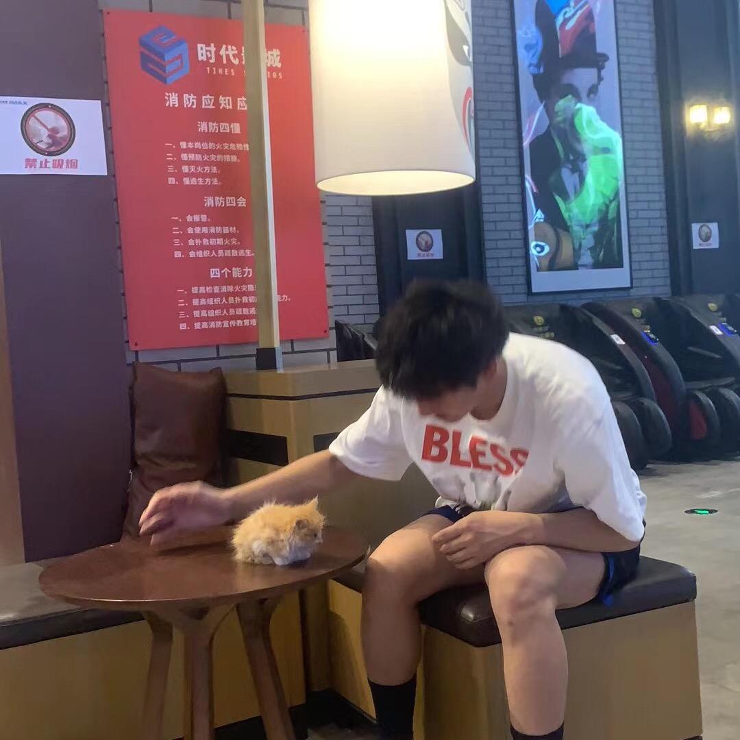 陈瑄琪