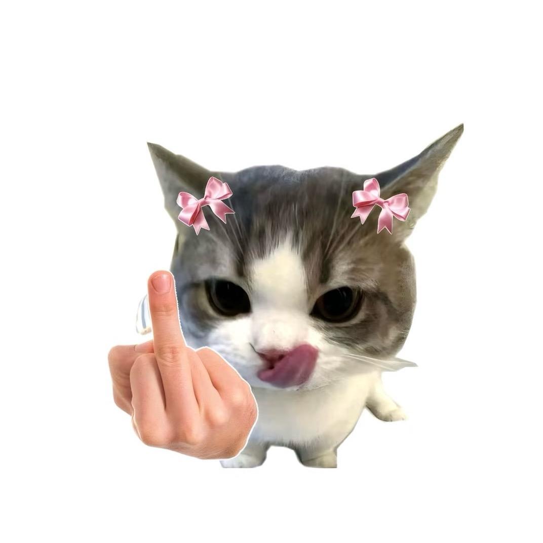 养只猫叫永远.（无畏契约）
