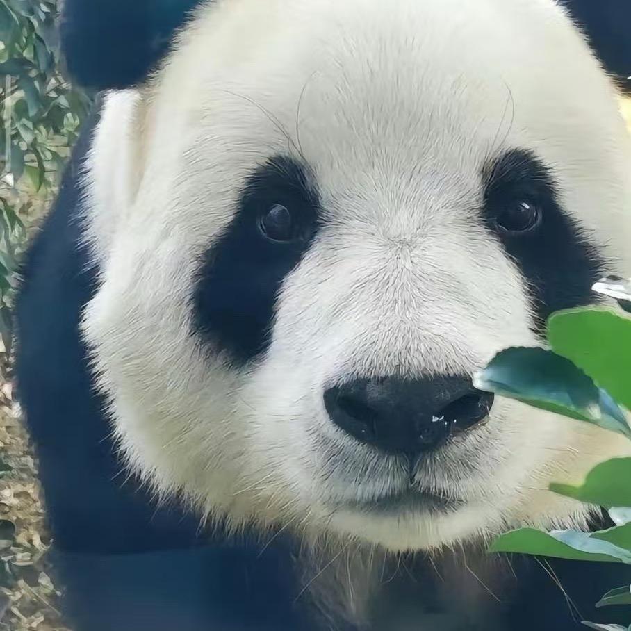 🌈小凡凡🌈