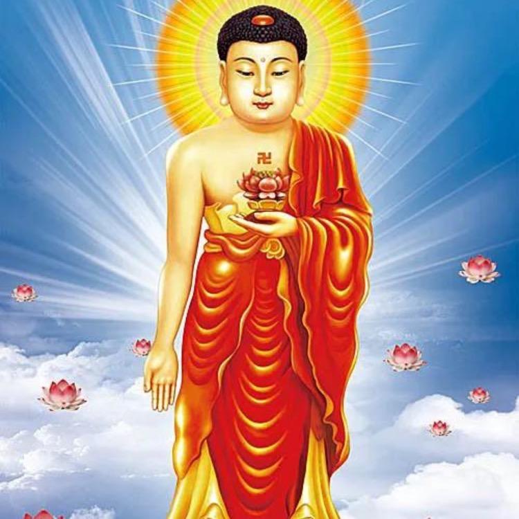 花落花开