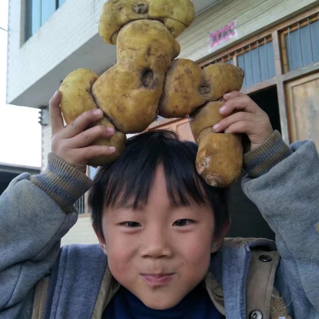 步春农产品销售店