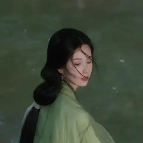 舒舒树