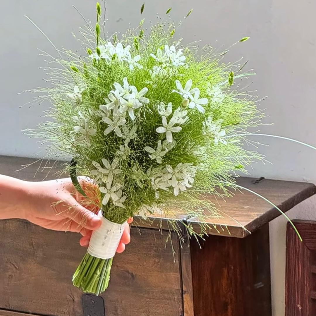 遵义南白如花似遇