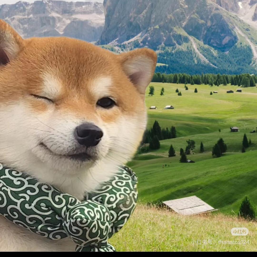 不是宝宝