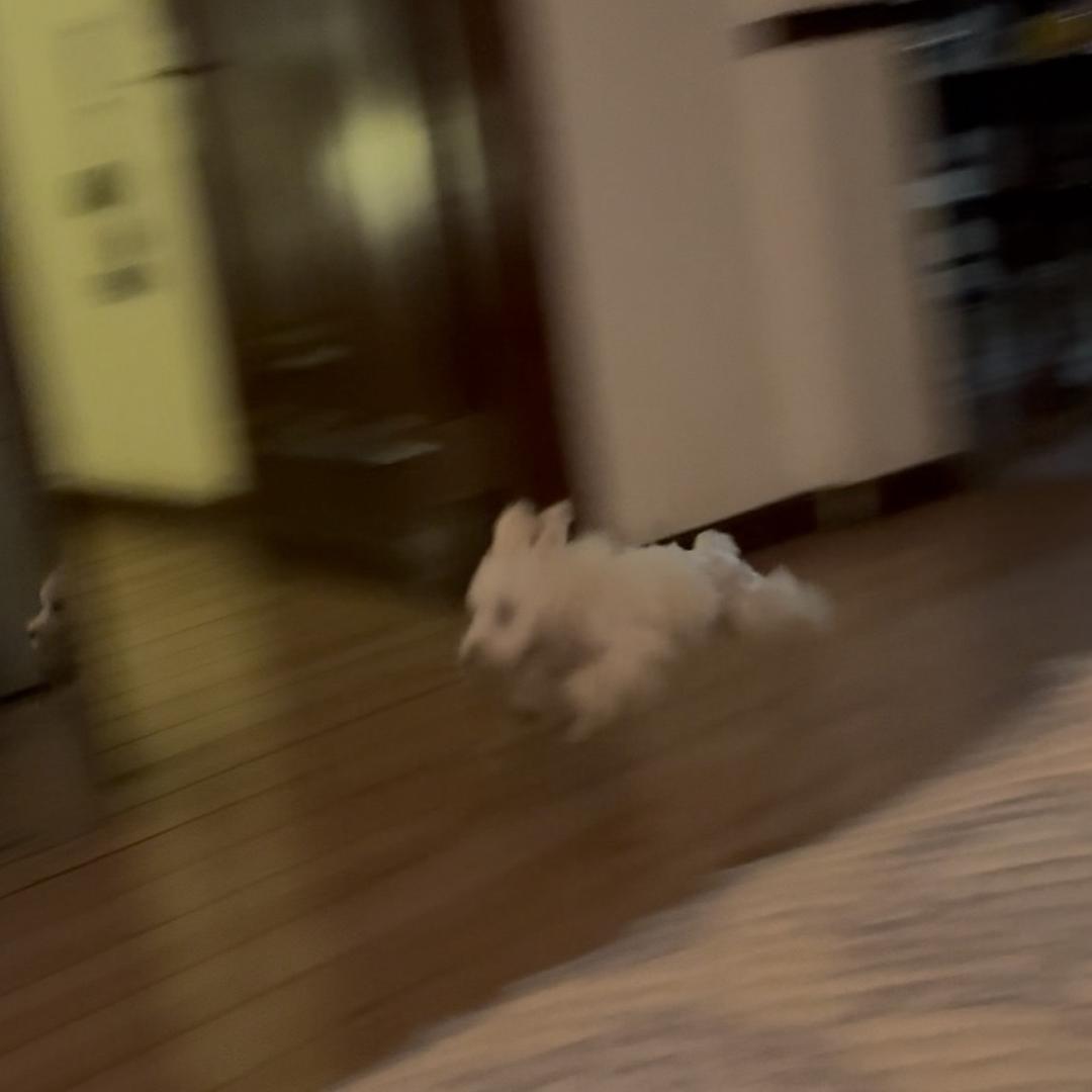 香辣鸡腿堡