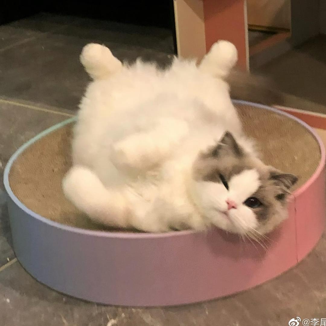 糕山王
