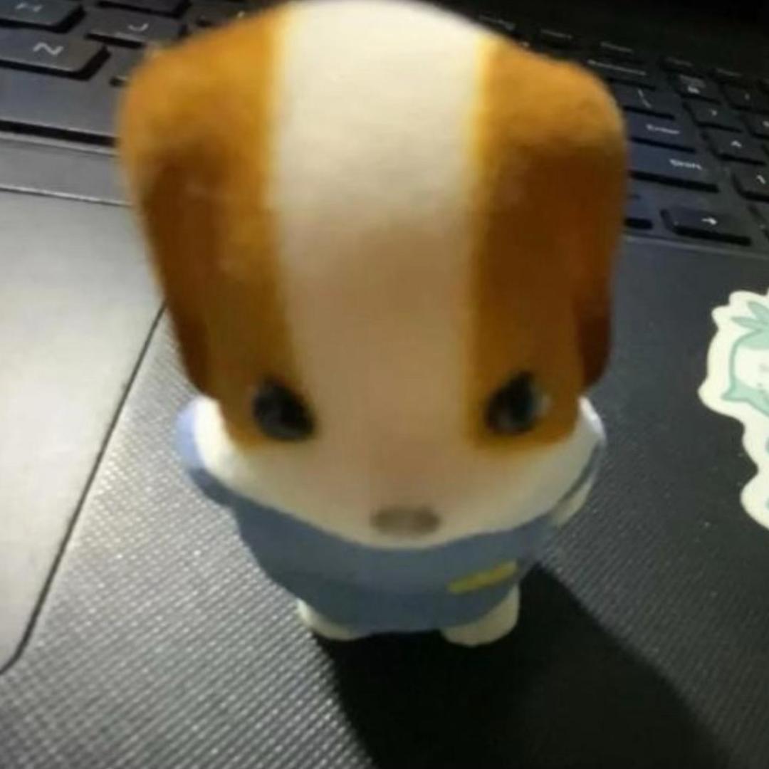 小小帅