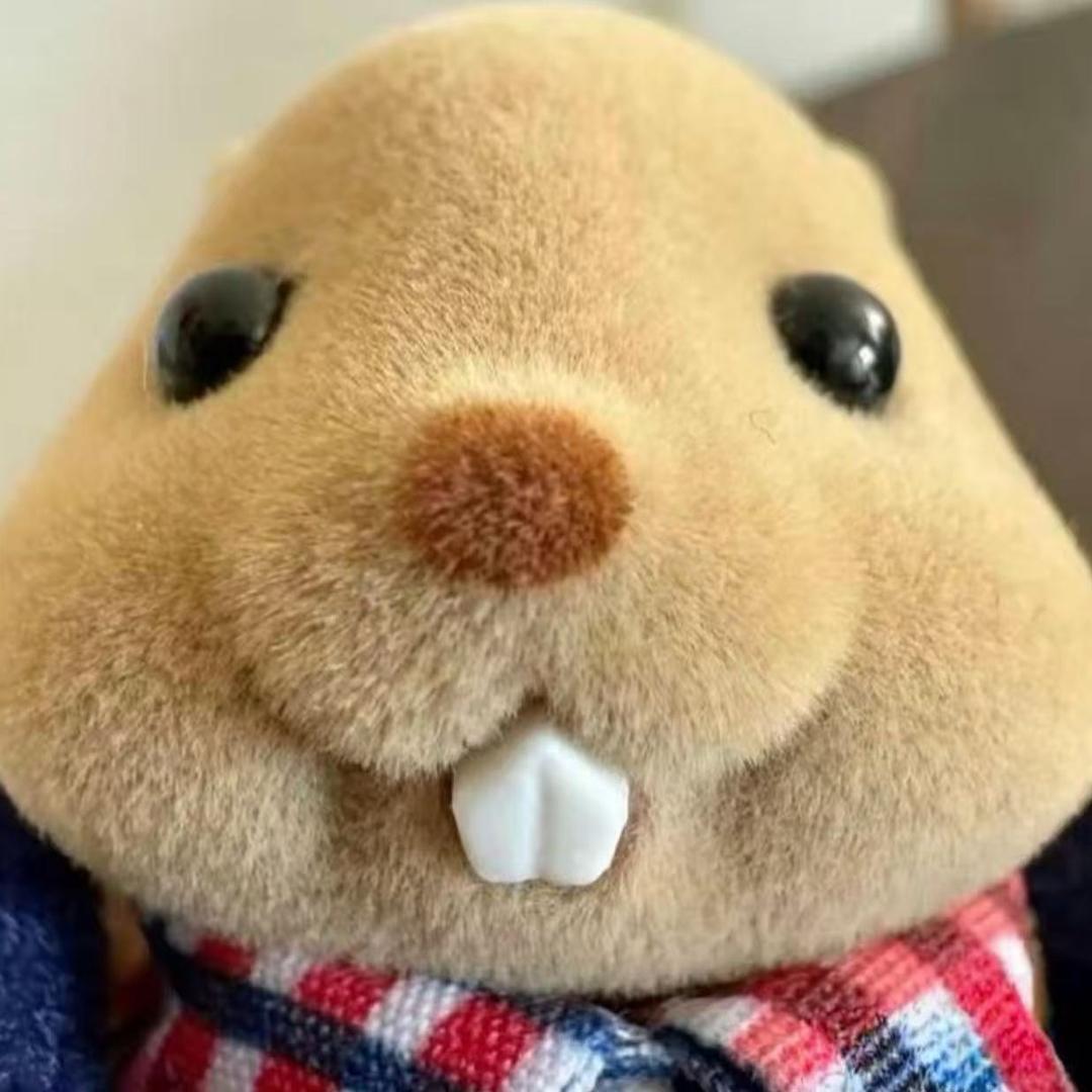 小板牙