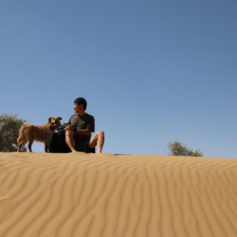 感觉自己又行了