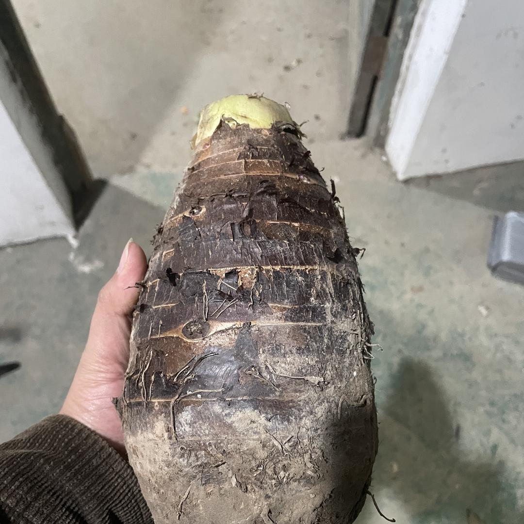 桂林农家特产店