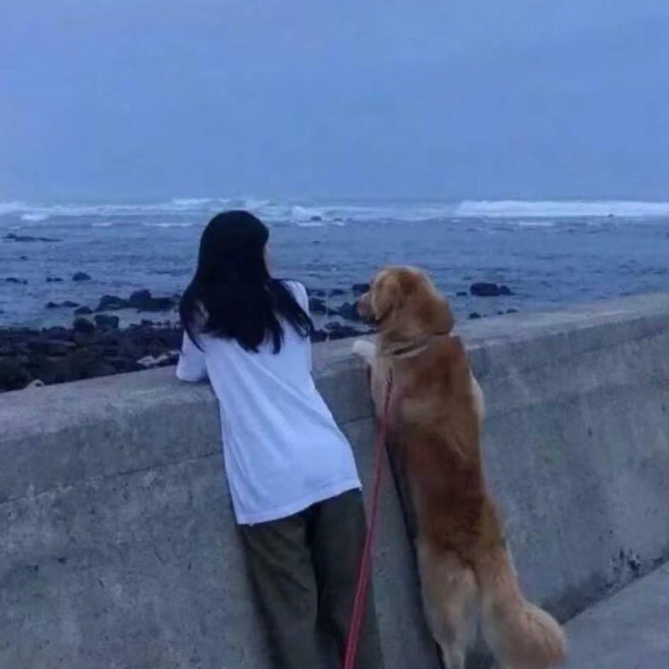 借狗消愁🐕