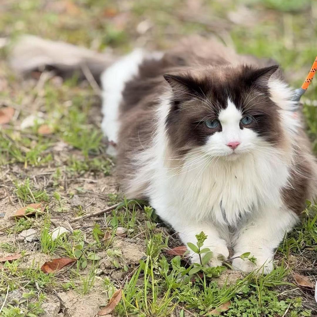 华非花🙅🏿‍♀️