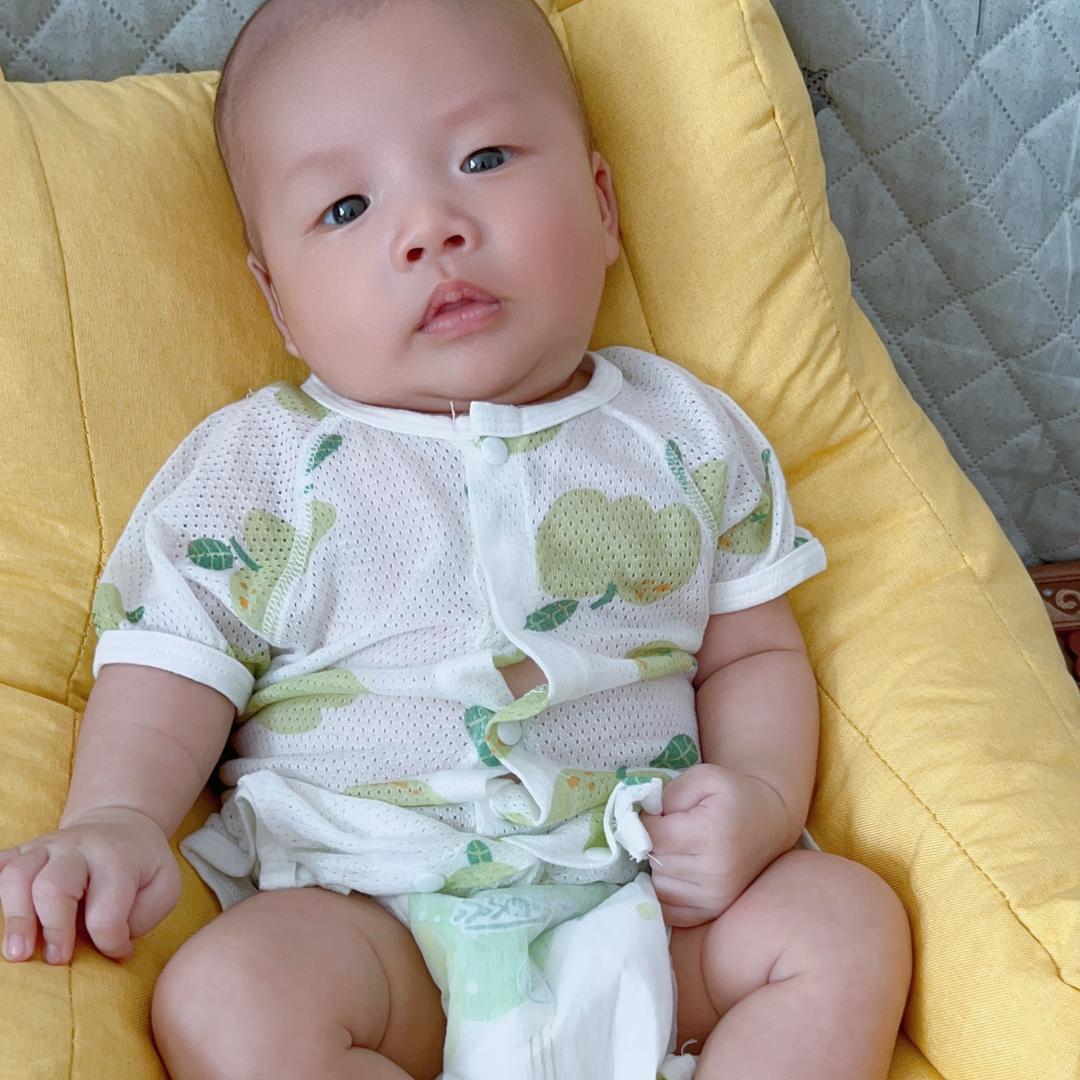 可乐👶