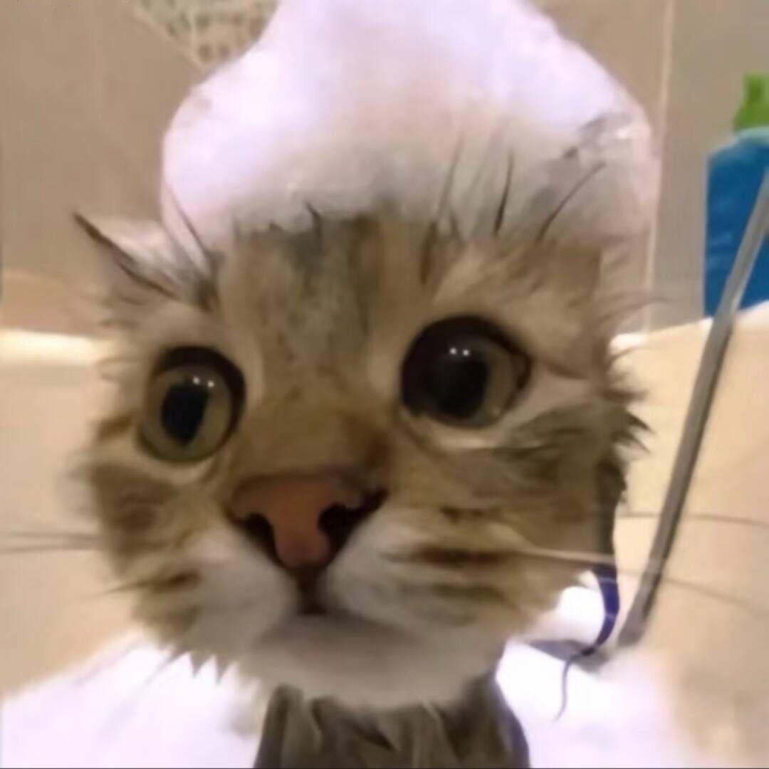 @闪电小姿