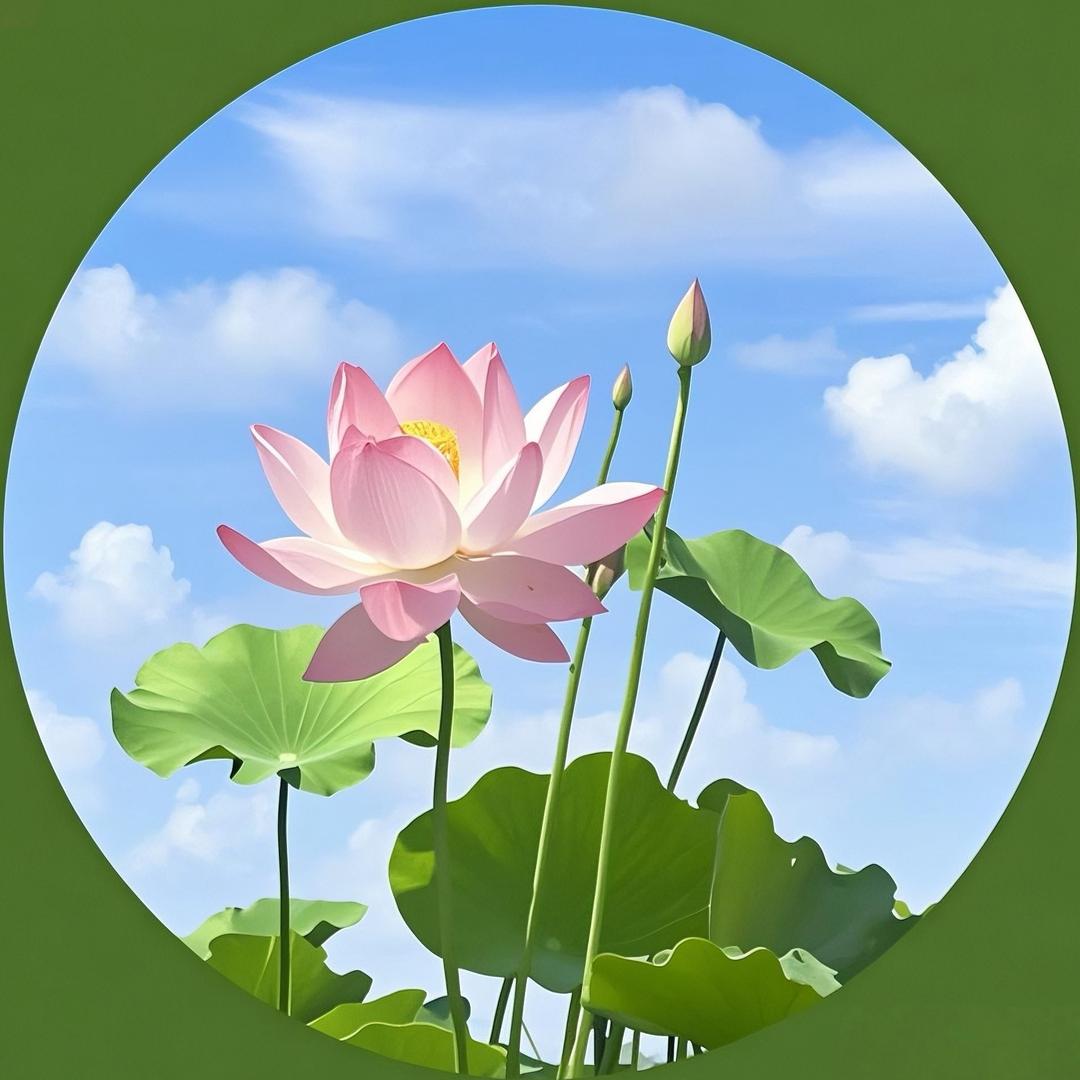 @欣欣向荣