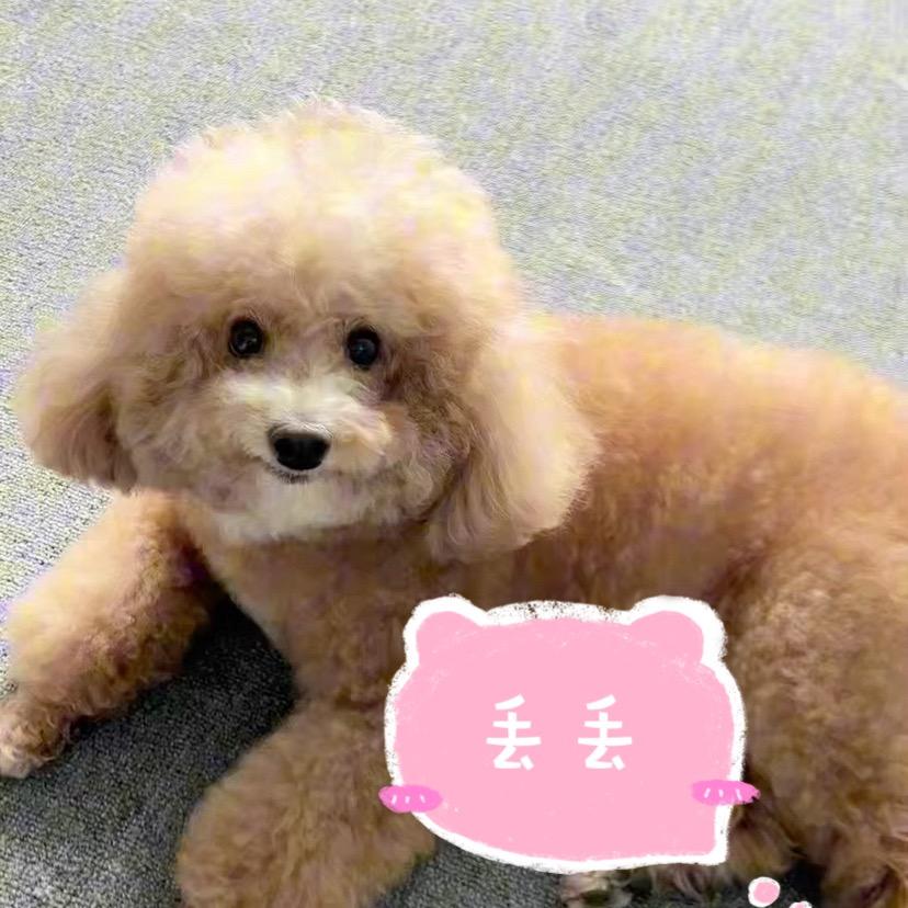 丢宝很乖