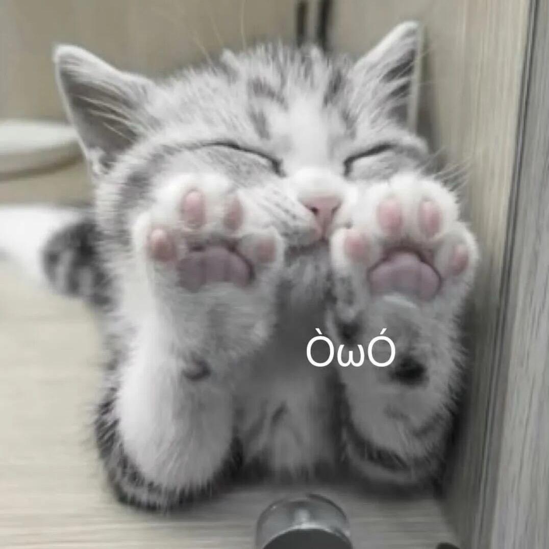 ^里梨梨猪熊@(・●・)@