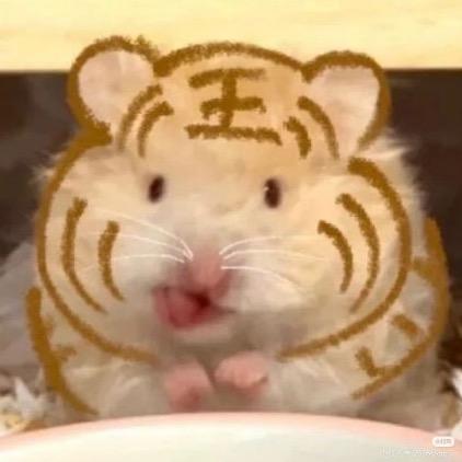 🎰头像