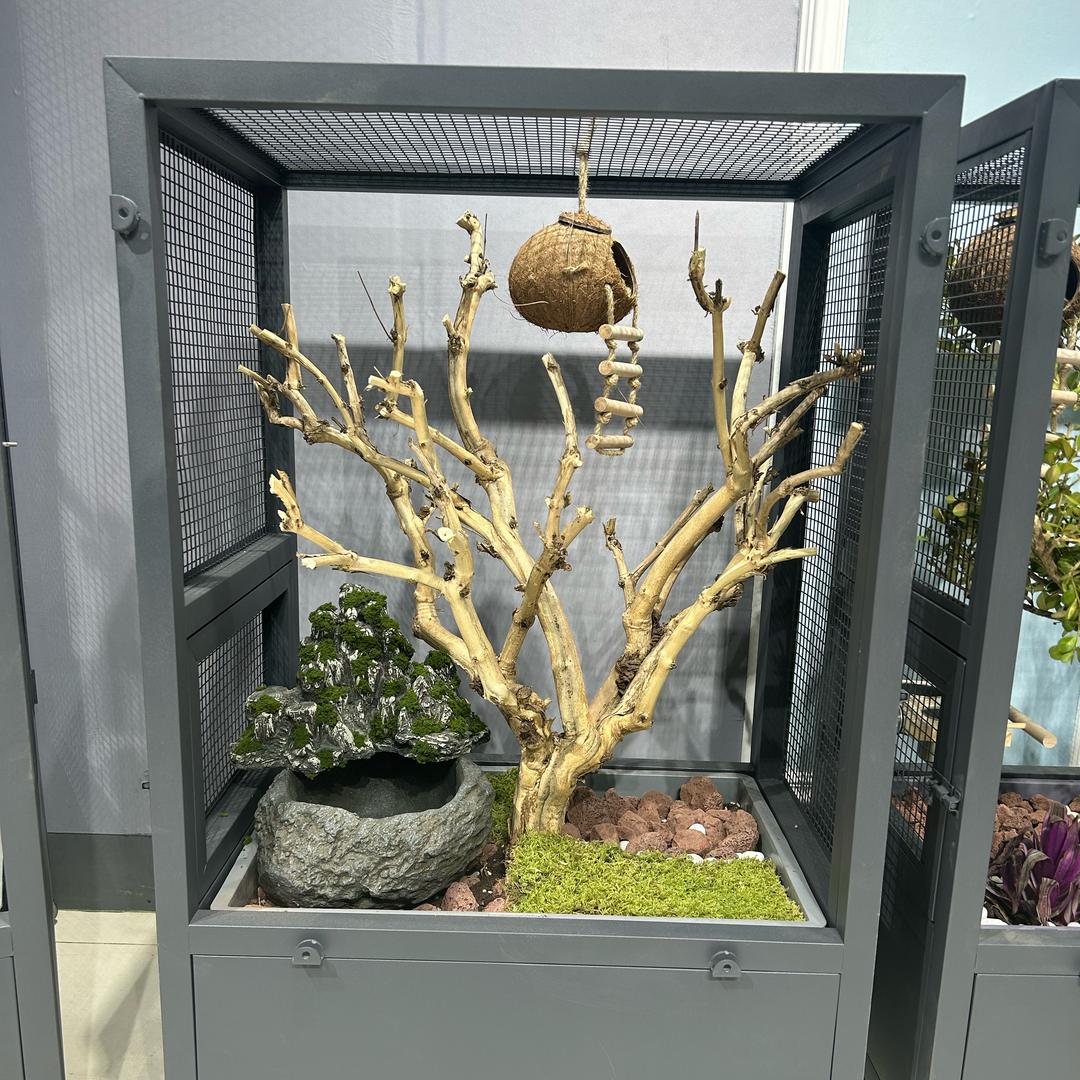 生态鸟笼工厂店1