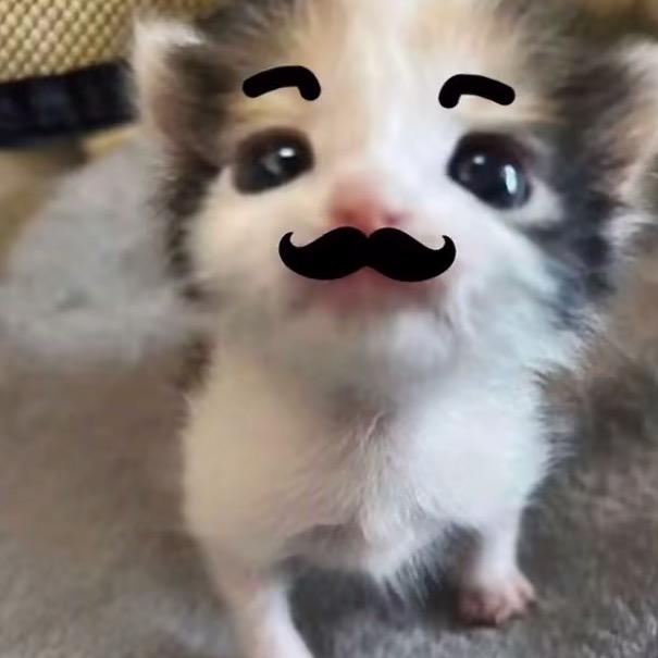 小贝