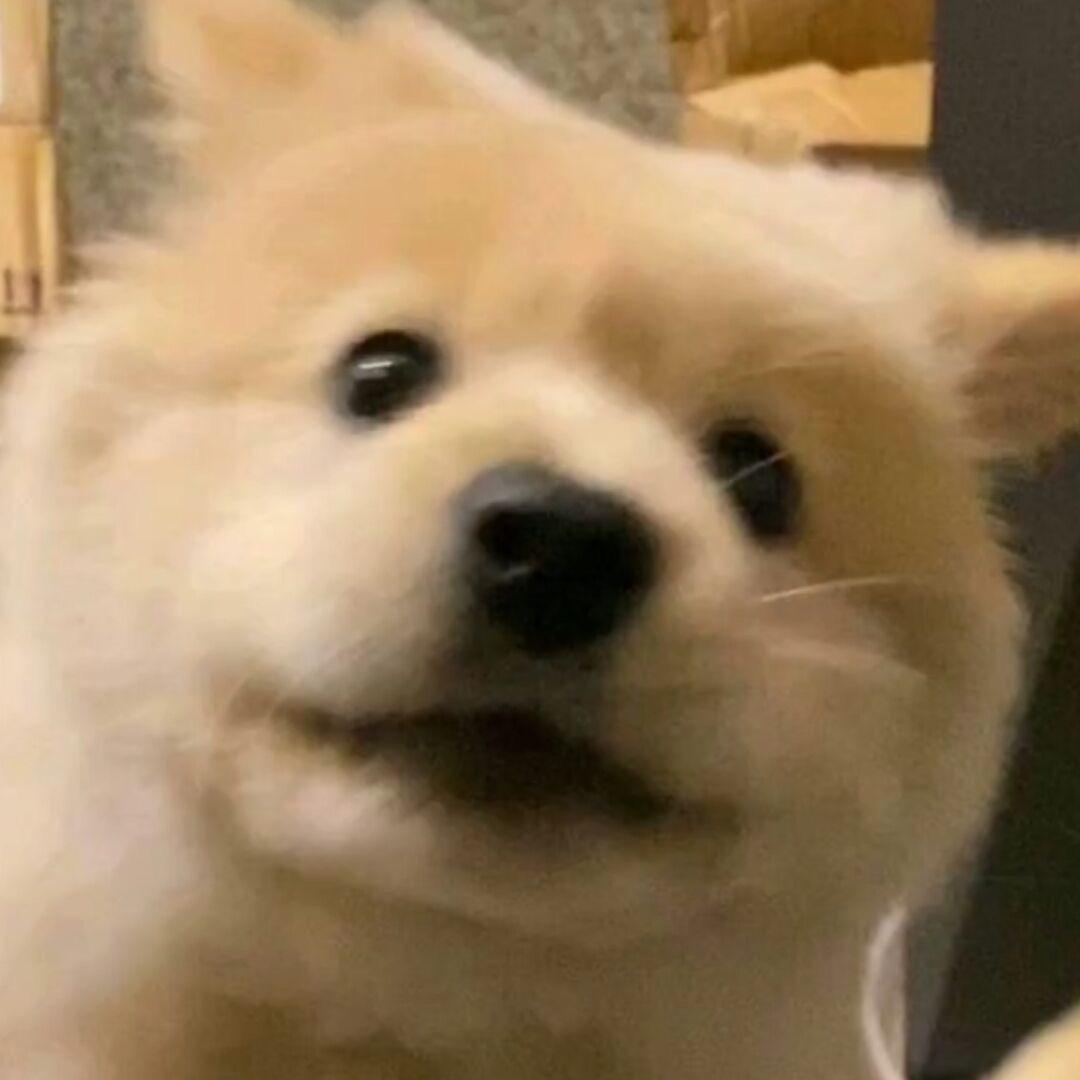 许你一诺